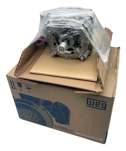 Motor Elétrico S/carcaça Monofásico 127v Tanquinho 10kg/20kg 127v