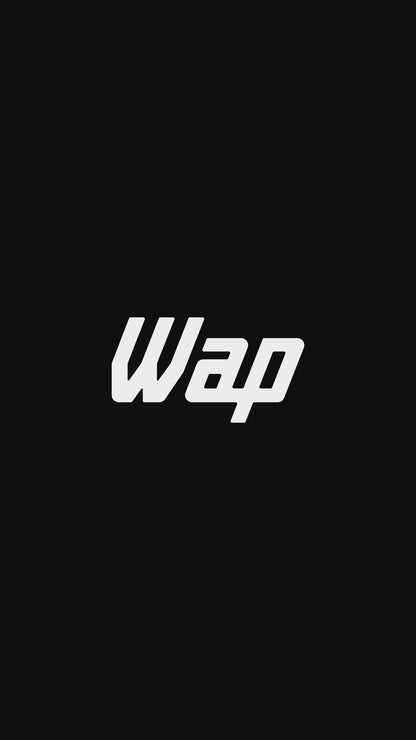 Extratora Portátil Spot Cleaner WAP